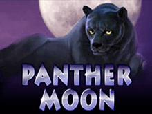 Игровой автомат Panther Moon